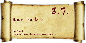Baur Teréz névjegykártya